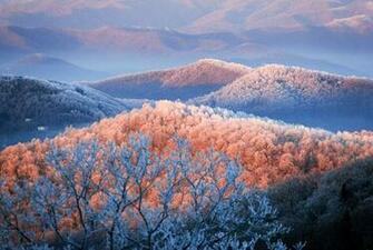 Life In Color Orange Pictures National Geographic