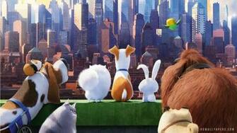 The Secret Life Of Pets HD Wallpaper IHD