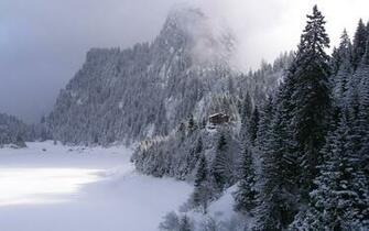Landscapes Winter Wallpaper Forest