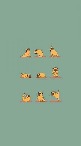 Funny Wallpaper iPhone Background Hus