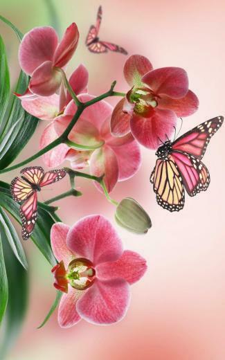 Orchid Live Wallpaper For Android Apk