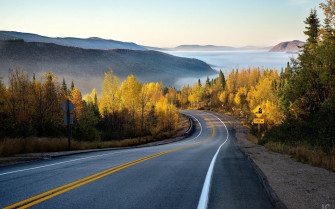 Autumn Forest Road Misty Wallpaper