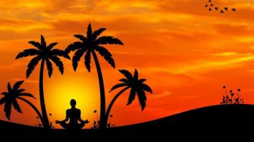 Yoga Palm Trees Back Meditation Sunset Minimal