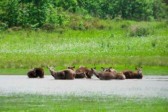 Must See Natural Wonders Of India While Volunteer Traveling