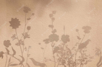 Beige Aesthetic Picture Wallpaper