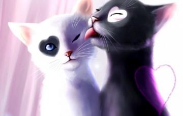 Kitten Wallpaper HD Background Image Pics Photos Anime Cat