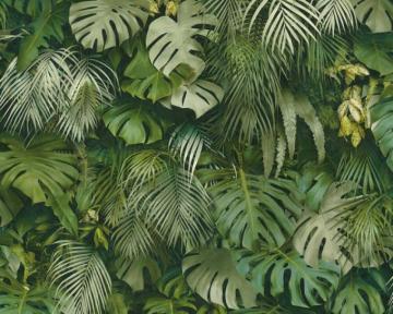 A S Cr Ation Wallpaper Jungle Green