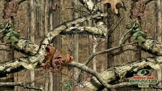 Displaying Image For Hunting Camo Background