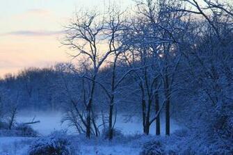 Winter Sunrise Wallpaper
