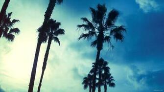Background Trees Sky Wallpaper Hires
