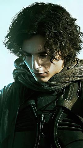 Dune Movie Timothee Chalamet 4k Phone iPhone Wallpaper 1130c