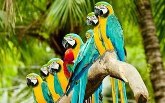 3d Nature Wallpaper Santabanta HD