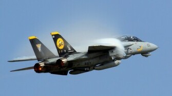 Tomcat HD Wallpaper Pictures