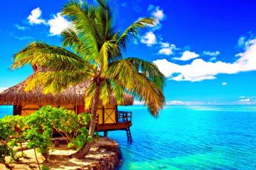 Tropical Beach Bungalow