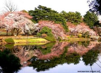 Shinjuku Gyoen Wallpaper Box