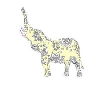 Elephant Background