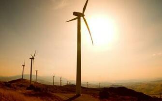 Windmills Wallpaper