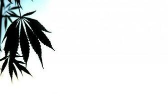 Pot Leaf Black Background P1qeu Funny Pics Image