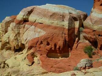 Photographed In April Of Using A Canon 1ds Digital Camera And