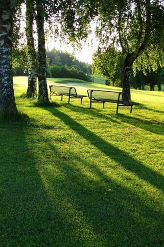 Summer Park iPhone HD Wallpaper