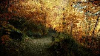 Wallpaper Autumn Leaves Nature Background