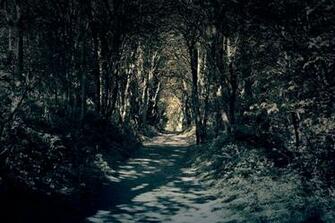 Haunted Woods Wallpaper By Kage26