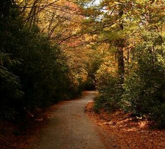 Country Road In The Fall Wallpaper Desktop