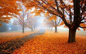 Nature Landscape Fall Wallpaper HD Desktop And Mobile
