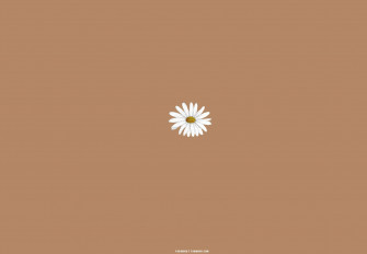 Brown Aesthetic Wallpaper For Laptop Daisy Fab Mood