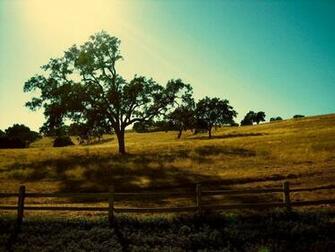 Neverland Wallpaper
