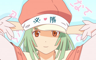 Anime Monogatari Series HD Wallpaper