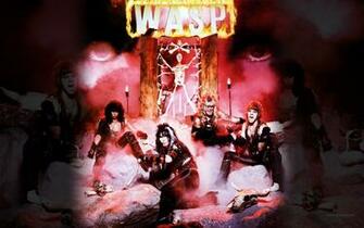 Wasp Computer Wallpaper Desktop Background Id