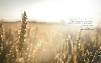 Written On Our Hearts Wallpaper Truth For Life
