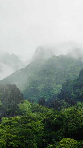 Best Nature iPhone Xs Wallpaper Home Diy