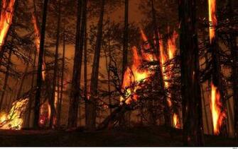 Forest Fire Wallpaper