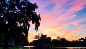 Savannah Ga Wallpaper Scenes