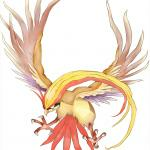 Pokemon Go Pidgeot Hq Wallpaper Full HD Pictures