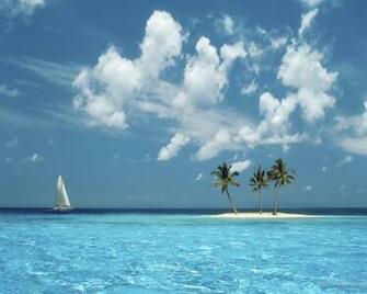 Paradise Wallpaper Art Print Poster Tropical