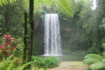 Tropical Waterfall By Poprocks X Coke
