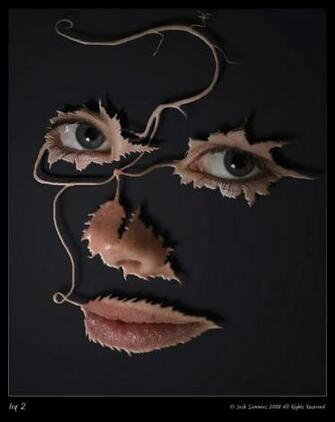 Josh Sommers Et Ses Incroyables Photo Montages