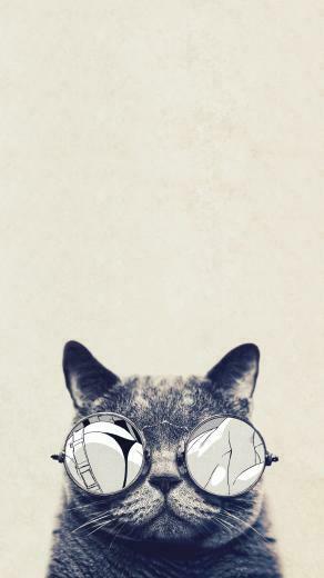 Cat Glasses Htc HD Wallpaper Best One