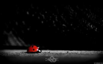 Modern Wallpaper Art Desktop Pictures