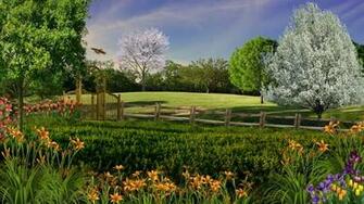 Spring In The Park HD At Wallpaperia