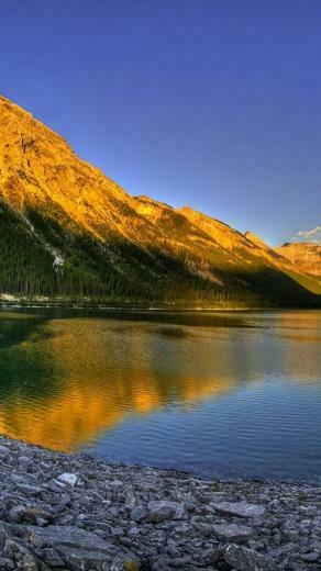 Nature Nexus Wallpaper HD And Background