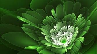 Green Flowers Wallpaper HD Pictures One