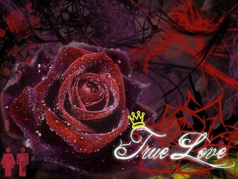 True Love Wallpaper Phone Sopho Nyono