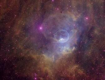 How Do The Most Massive Stars Die Supernova Hypernova Or Direct
