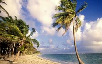 Wallpaper Catalogue Ocean Punta Cana Dominican