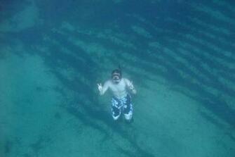 Diving Wallpaper For Picture