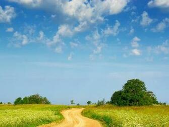 Country Path Wallpaper Landscape Nature In Jpg Format For